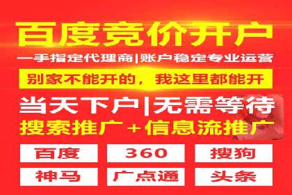 某电商平台信息流竞价策略及成效分析